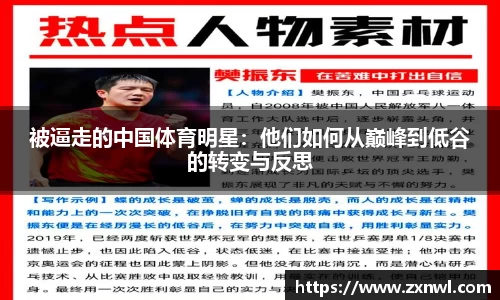 V体育