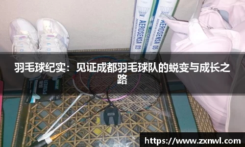 V体育