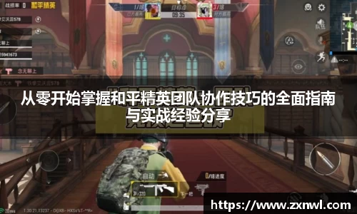 VSport-胜利因您更精彩