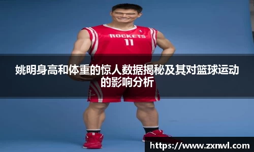 V体育