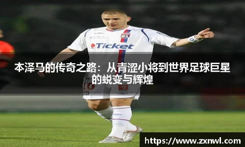 VSport-胜利因您更精彩