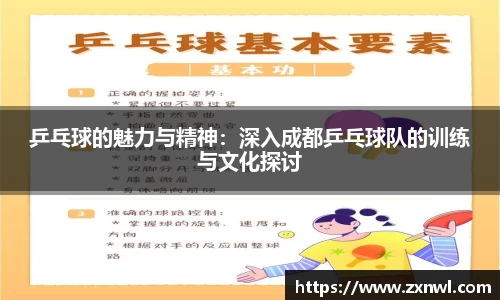 乒乓球的魅力与精神：深入成都乒乓球队的训练与文化探讨